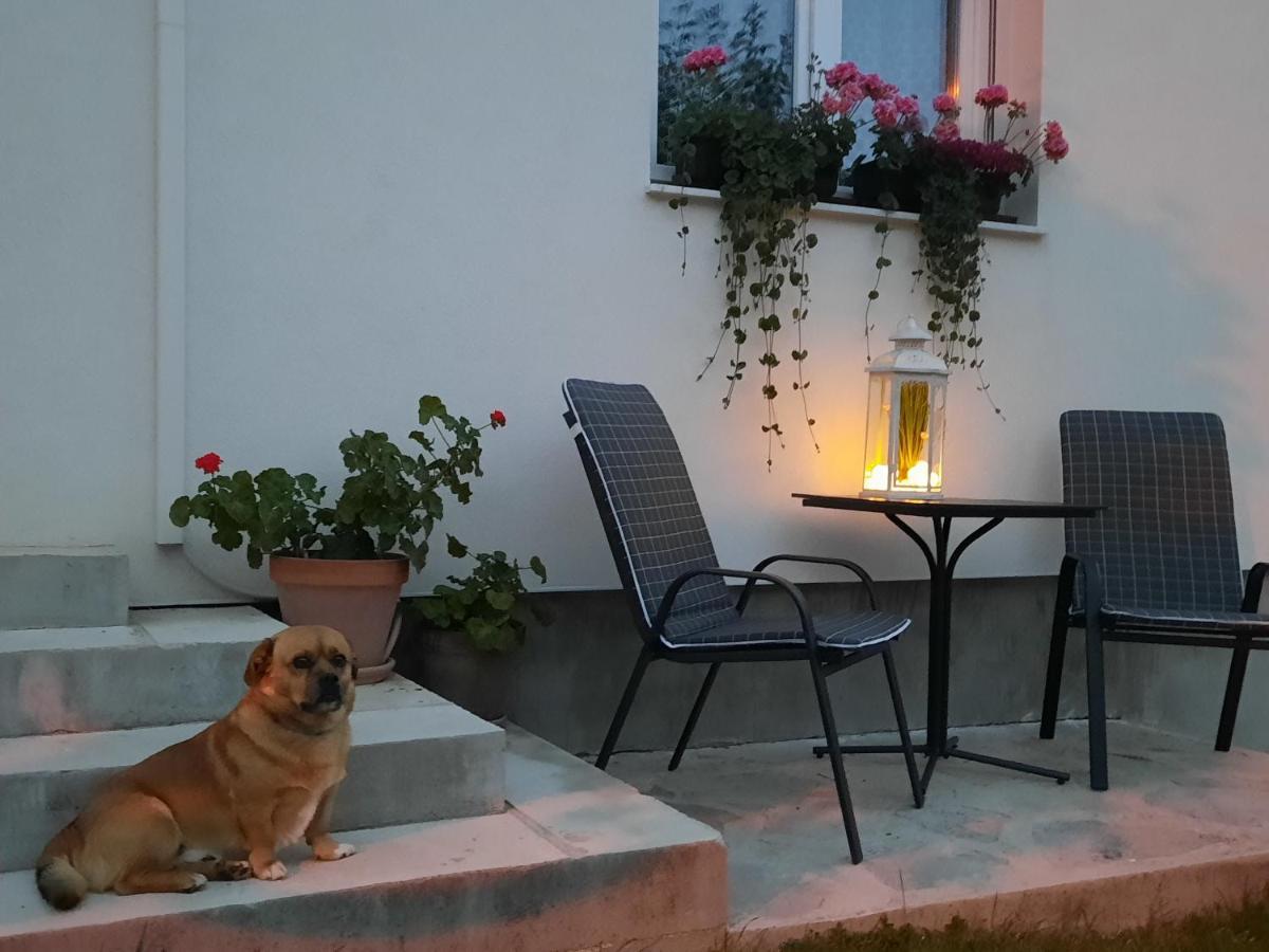 Studio Apartman Marta Korenica Zewnętrze zdjęcie